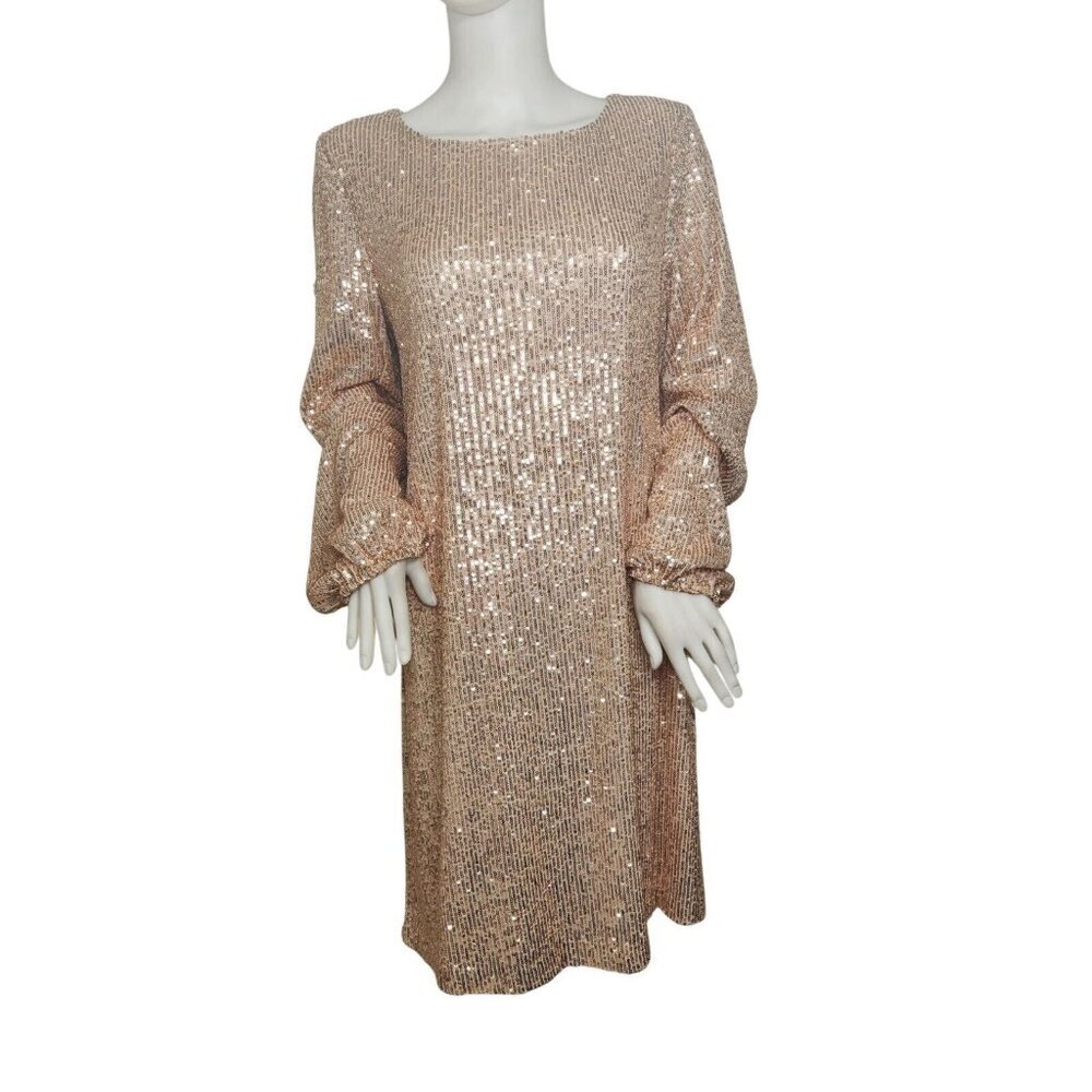 Preston & York Rosa Sequin Dress Long Blouson Sleeve Champagne Gold Size 16 (12) - Picture 2 of 15